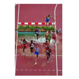 Barrieren für Hindernisrennen mit Wasser mit spezieller Oberfläche. IAAF Zertifikat.