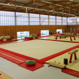 Teppich für Wettkampf-Trainingsboden - 14 x 14 m -FIG anerkannt