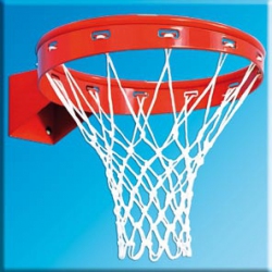 Basketballkorb AVHS2016