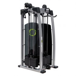 TRICEPS BICEPS STATION 8800 triceps-biceps-station-8800