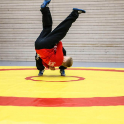 Ringen Matten Schulsport 4x4 m AVFD1012