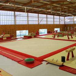 Teppich für Wettkampf-Trainingsboden - 14 x 14 m -FIG anerkannt AVGY1003