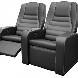 VIP Sessel Modell Park avenue AVLS1010