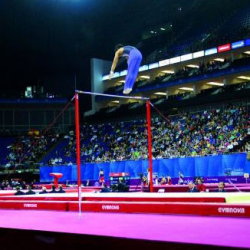 Wettkampfreck, Standardseil AVGY1081