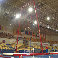 Wettkampf-Ringegerüst. Einstellbare Elastizität AVGY1098