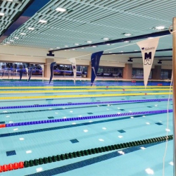 Stange für Rückenschwimmen AVML1053