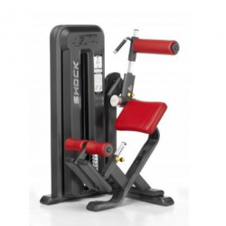 Fitnessgerät für Rückenstrecken AVTJ3037